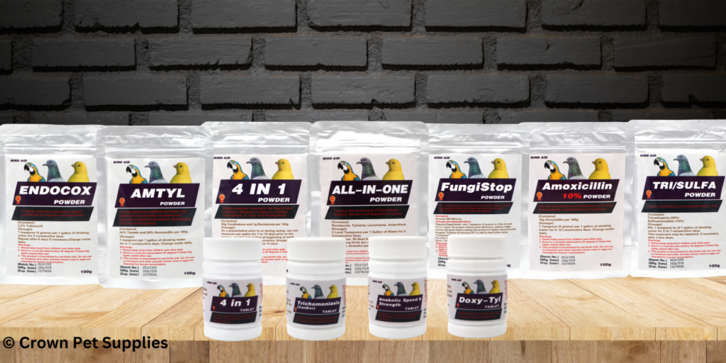 electrolytes for chickens