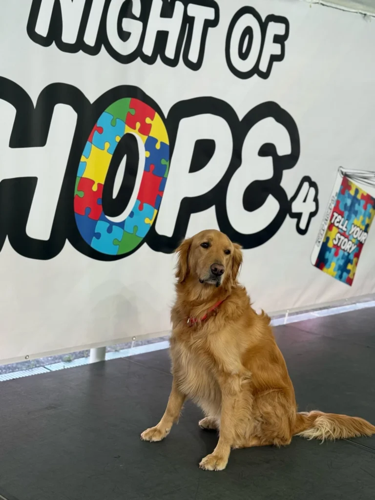 The Real Reason Healthy Dog Treats Are Becoming a Must for Pet Owners